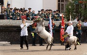 DSC07002.jpg