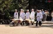 DSC07029.jpg
